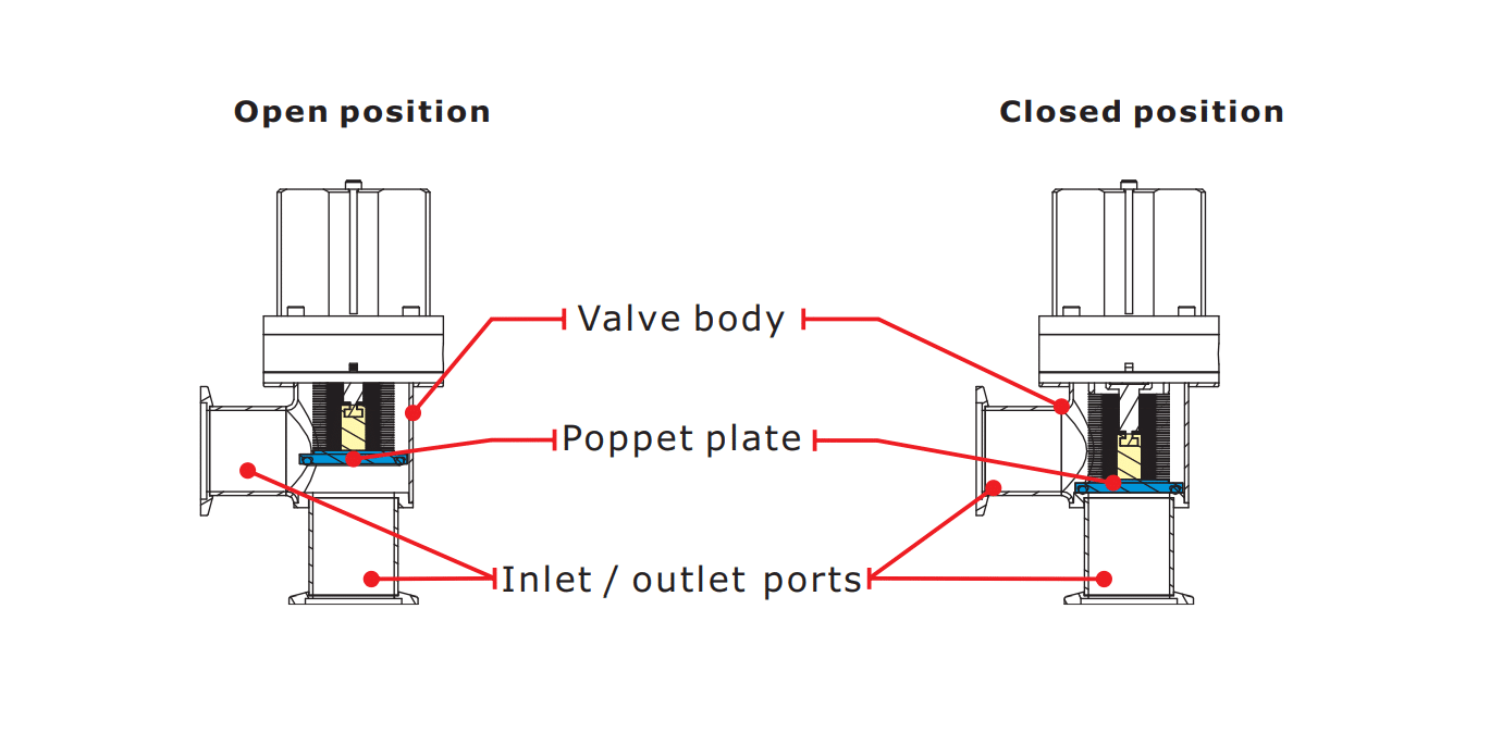 Poppet Valve Diagram